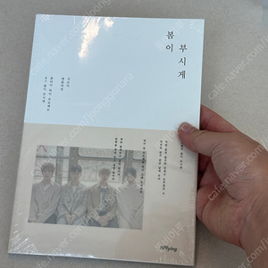 엔플라잉 봄이부시게, 뜨거운감자 앨범 미개봉