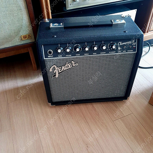 팬더 챔피언2앰프 25W