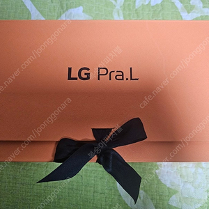 LG 프라엘 인텐시브 멀티케어 BLP1