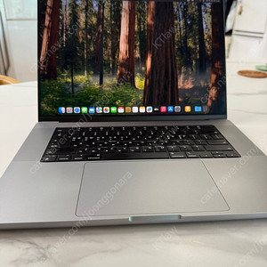 23년 맥북 M2 pro 16인치 16기가 512GB