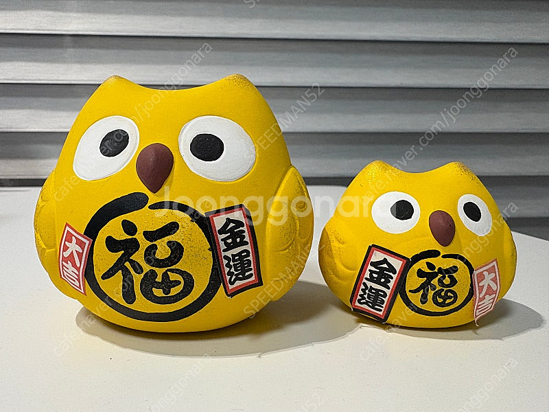 일본 복 고양이--0