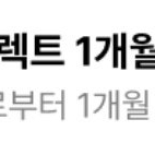 리디셀렉트 1개월 무료 이용권 1,000원