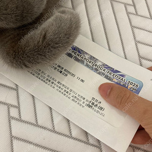 2025 펜타포트 락 페스티벌 티켓 일요일 2장