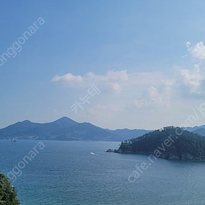 벨버디어 수영장 티켓 판매합니다