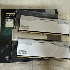 ESSENCORE KLEVV DDR5-6000 CL30 CRAS V RGB WHITE 팝니다!