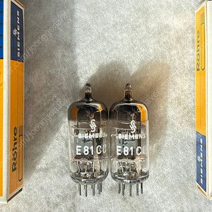 Siemens (SH) 지멘스 E81CC/ecc81 고신뢰관. 3-Mica. NOS NIB 1개 판매