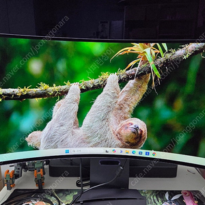 LG 34GS95QE 판매합니다