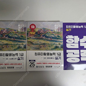 이기적 컴퓨터활용능력 1급 실기 반값택포 18000원에 팝니다