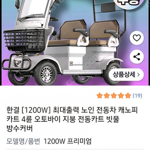 캐노피 전동차 2025년형신형급처 145 신품430만