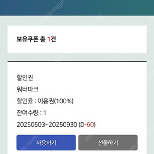 디오션 워터파크 이용권