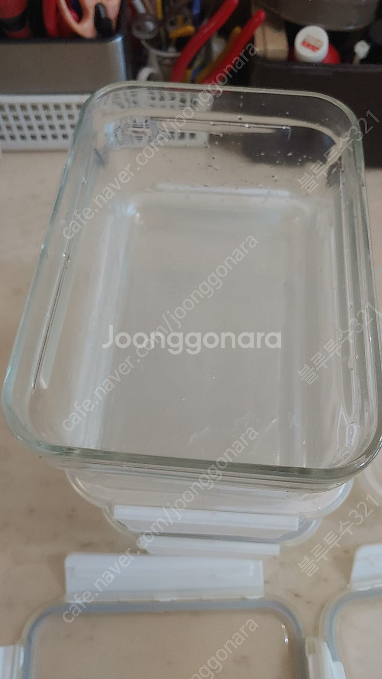 글라스락 오븐 세이프(Glasslock Oven Saf...--2