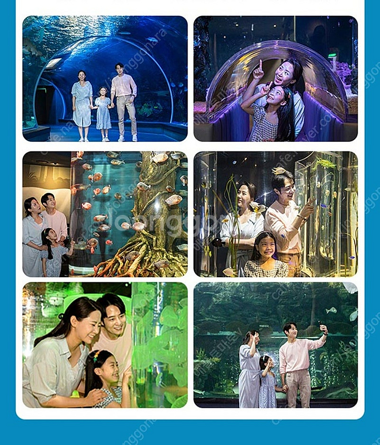 제주/ 여수/ 광교/ 일산 아쿠아플라넷 아쿠아리움 모바...--0