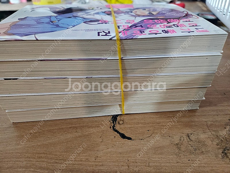 (라노벨) 내가 좋아하는건 여동생이지만 여동생이 아니야...--2