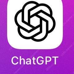 Chat gpt 같이 사용하실분 1명 구합니다.