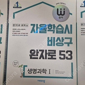 비상구 완자로 23 과학탐구지구과학1 물리1