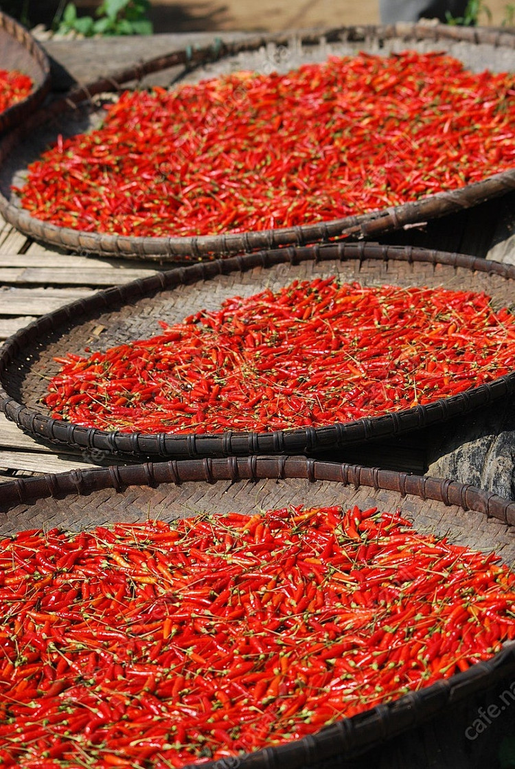 2025년 햇 고추가루 고춧가루 판매 구입 시세 가격 1근 한근 500그램 600그램 특가 할인 저렴하게 싸게 이미지