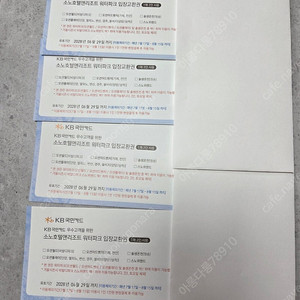 로블 워터파크 입장권