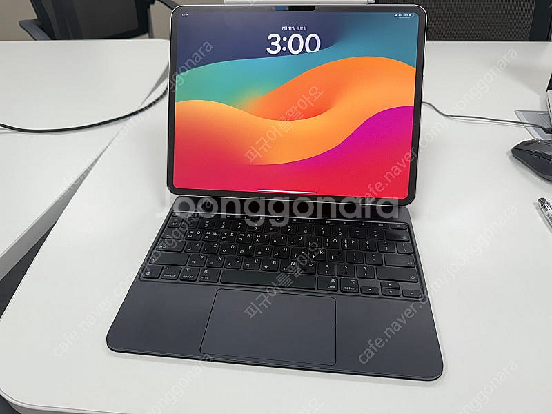 아이패드프로13(M4) 256gb 셀룰러 + 매직키보드...--0