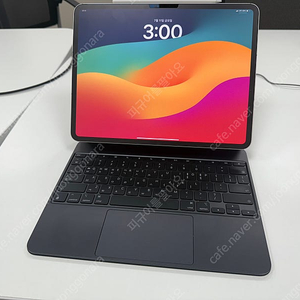 아이패드프로13(M4) 256gb 셀룰러 + 매직키보드 + 펜슬프로 + 정품케이스 + 애캐플(양도가능)