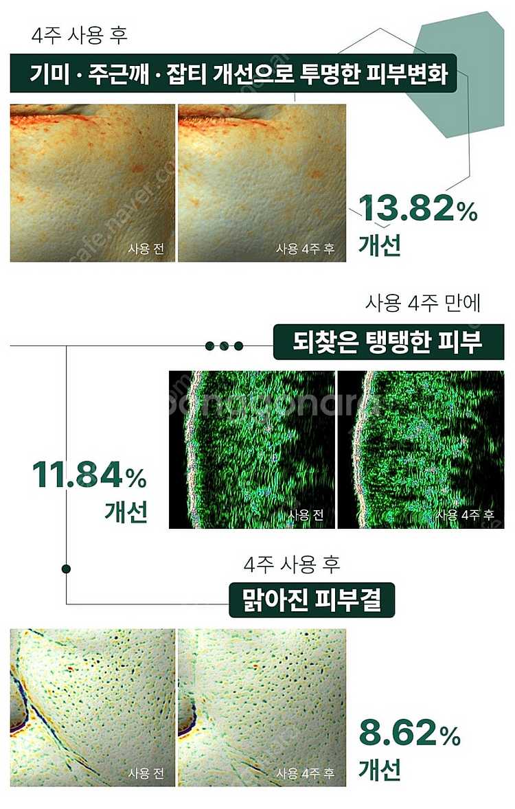 나인테일즈 크레마 앰플--6