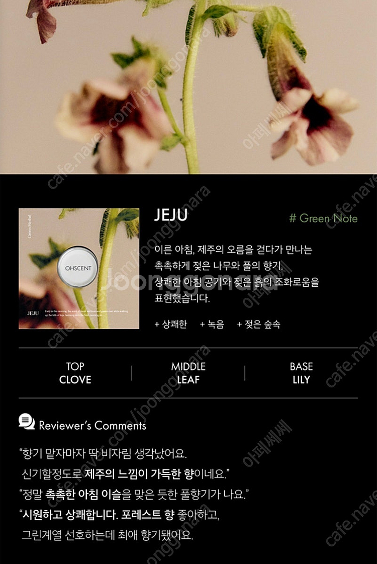 오센트 차량용 방향제 리필캡슐,퍼퓸샤쉐 새상품 제주,포...--3