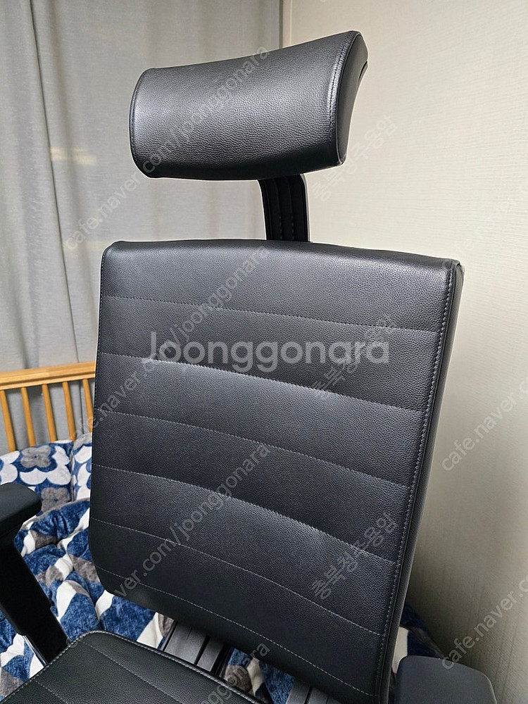 시디즈 T55 블랙에디션 사무용의자 TN550HLDA ...--1