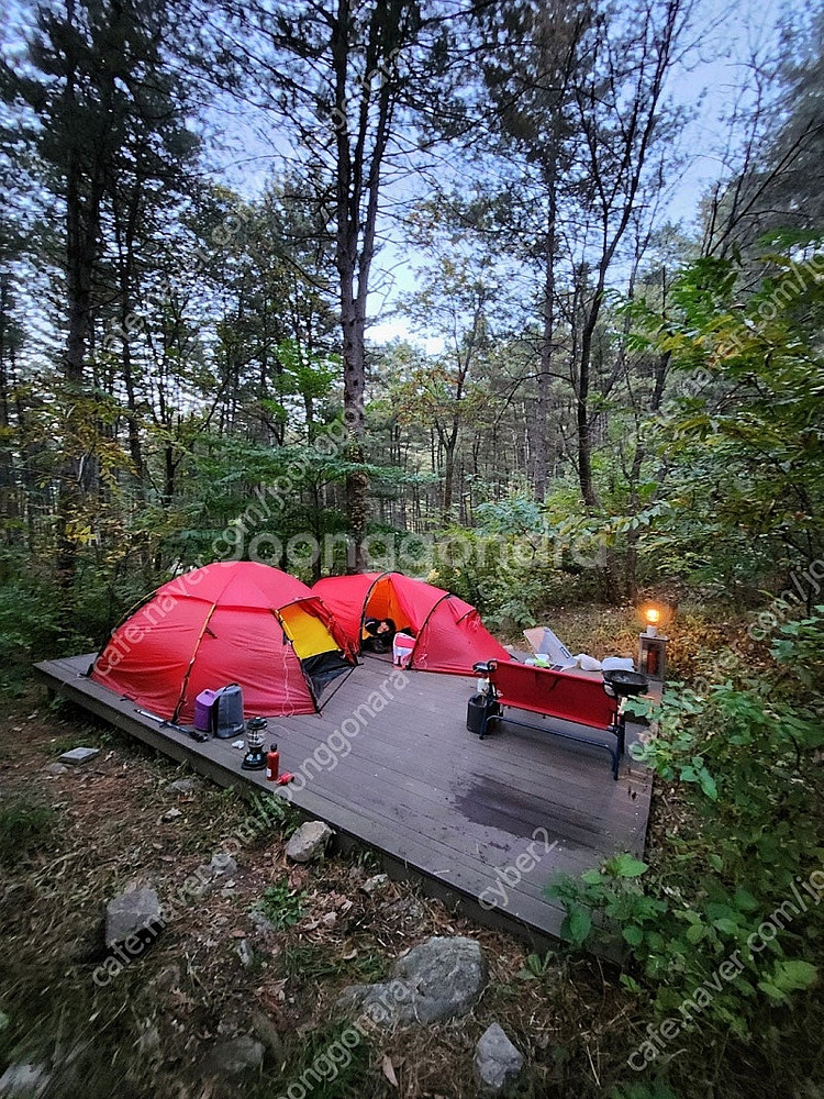 힐레베르그 알락2 미사용 정품 판매합니다. (미사용 풋프린트 포함)--0