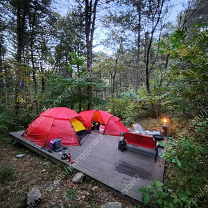 힐레베르그 알락2 미사용 정품 판매합니다. (미사용 풋프린트 포함)