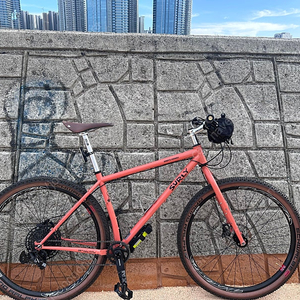 셜리 Surly Karate Monkey L사이즈