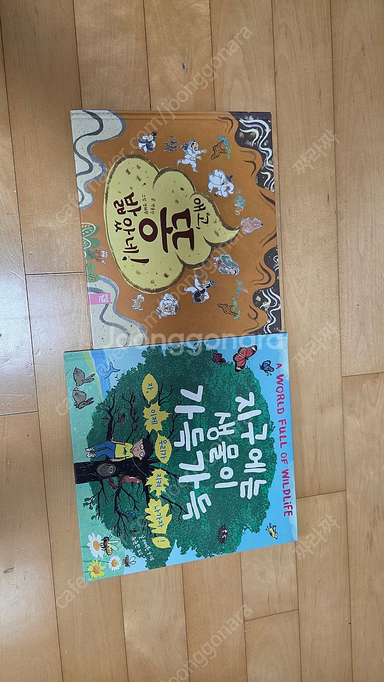 사립초 초등 1학년 필독서 저학년필독서 29권--3