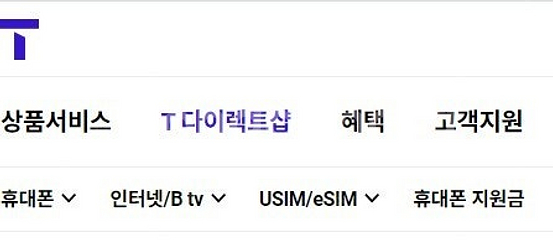 T다이렉트샵 이용권 10만원권 2개, 파리바게뜨 2만원...--0