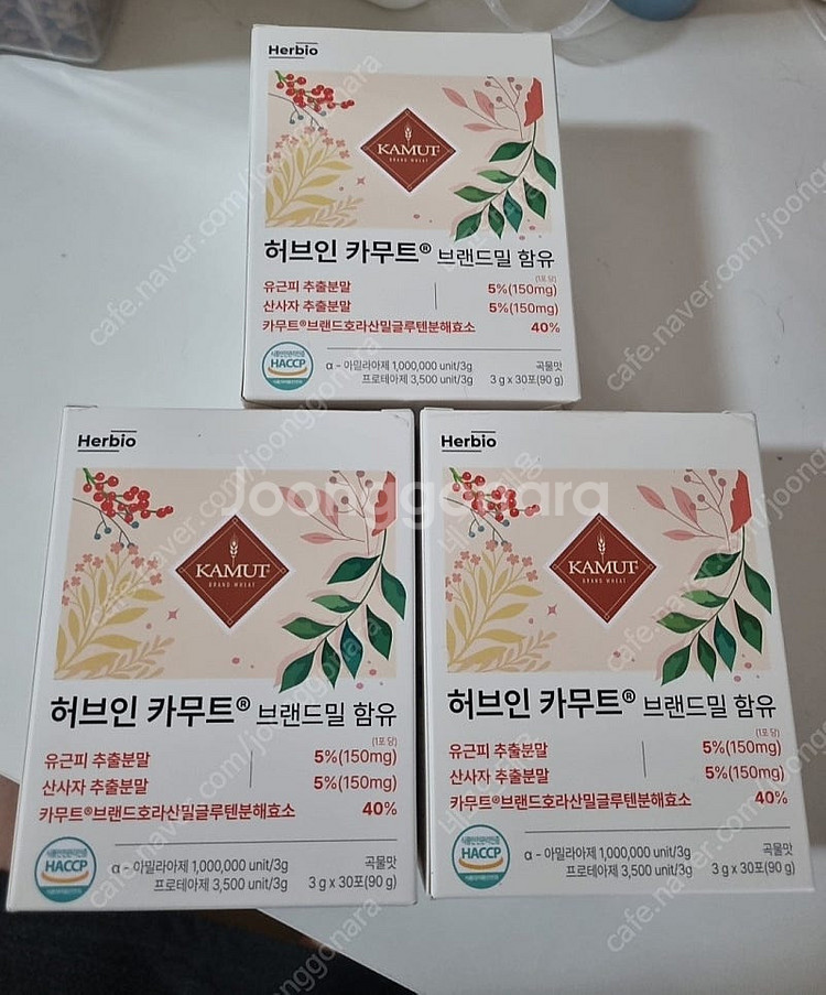 카무트 효소 소화효소--0