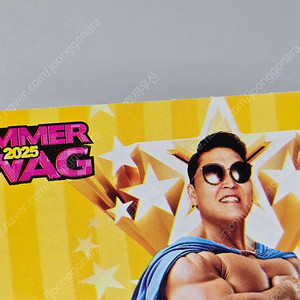 25년 싸이 흠뻑쇼 대구 콘서트 티켓 1장 시야제한석 1열