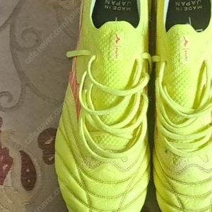 모렐리아 네오4 베타 재팬