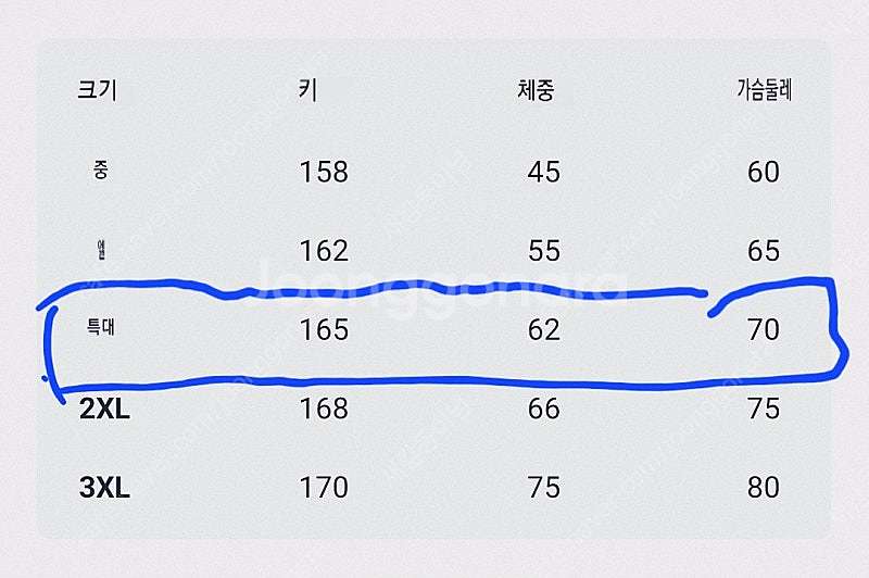 여성용 래시가드 세트--1