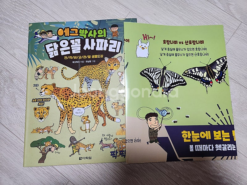 에그박사 1-15, 채집일기1권, 닮은꼴사파리--3