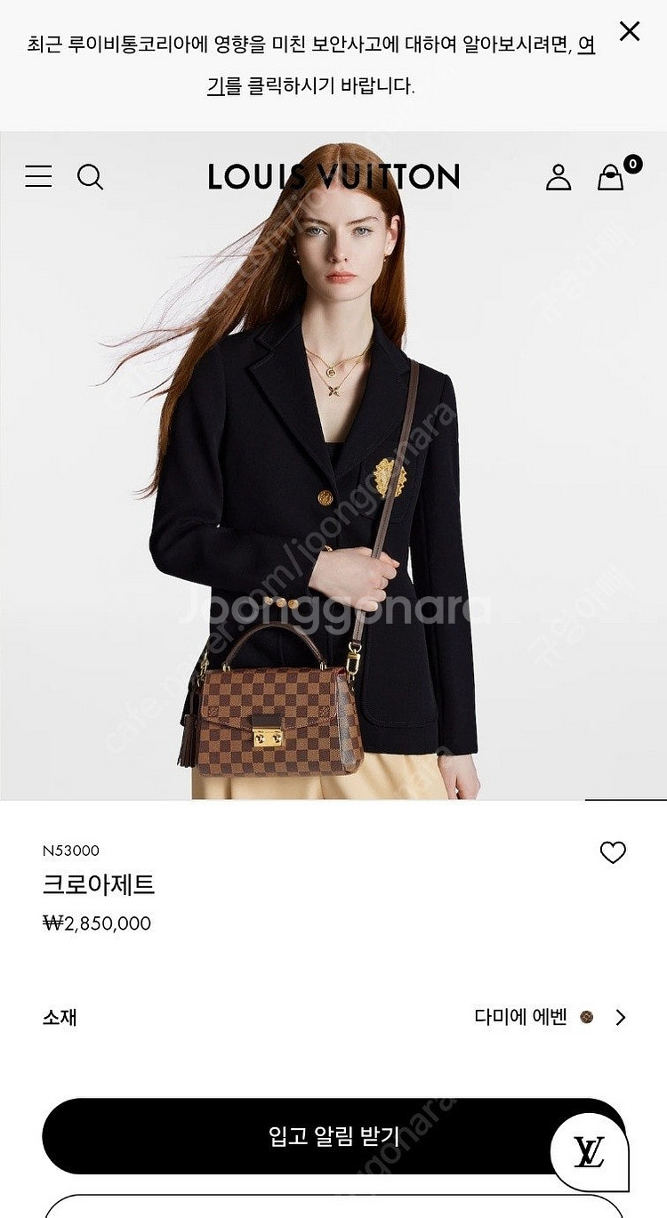 루이비통 크로아제트--0