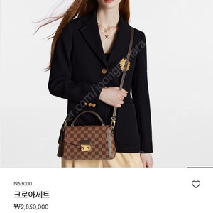 루이비통 크로아제트