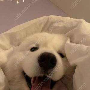 ㅏ