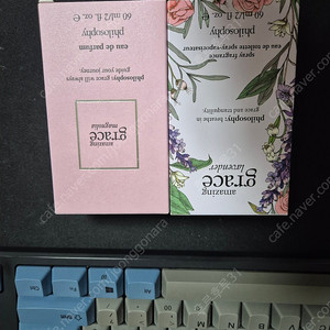 어메이징 그레이스 매그놀리아, 라벤더 2개 일괄