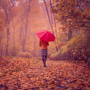 유율케이크사요