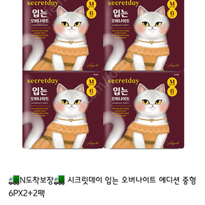 시크릿데이 입는 오버나이트M 팩당6장