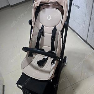 부가부 버터플라이 데저트 토프 (베이지) 판매