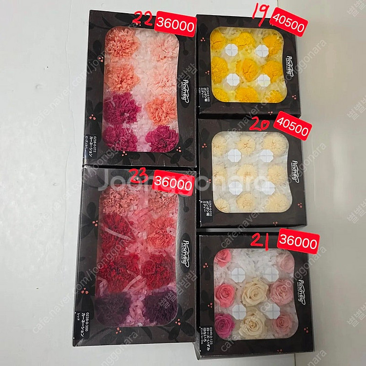 택포40500 프리저빙 프리저브드 플라워 장미 카네이션...--2