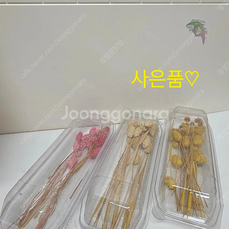 택포40500 프리저빙 프리저브드 플라워 장미 카네이션...--3