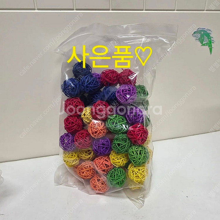 택포40500 프리저빙 프리저브드 플라워 장미 카네이션...--4