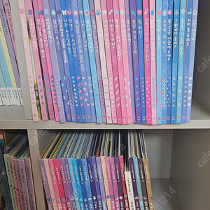 내친구과학공룡(증간본포함)택포