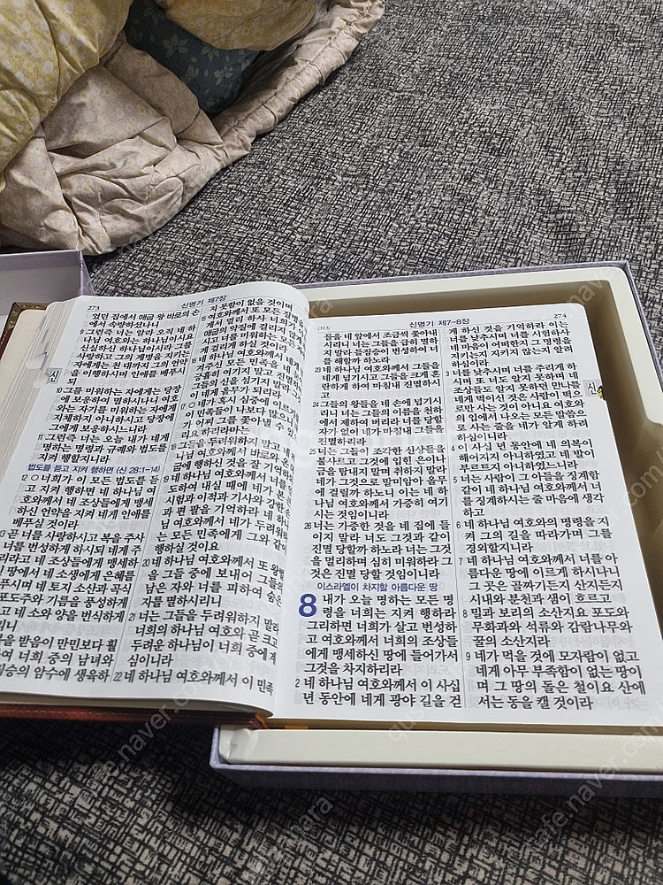 강대상 특대 성경책. 새거--5