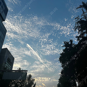 여수 예술랜드 리조트(8월4일~6일) 럭셔리B숙박