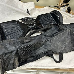 전동 발란스 투휠보드 /EGear 101